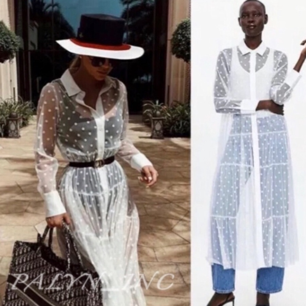 New Zara polka dot sheer dress